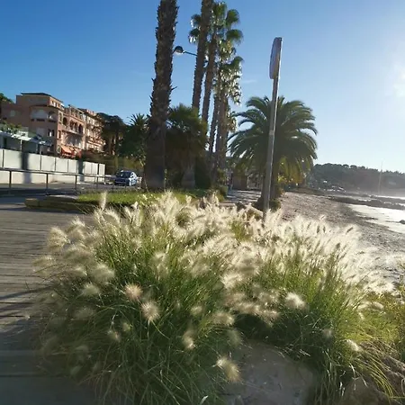Apartment Ofdl B T1 - Briotine Foyalais Bandol